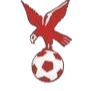 https://img.jxdqzb.com/img/football/team/4802d26df935b78bb2fcdbbff36e8864.png